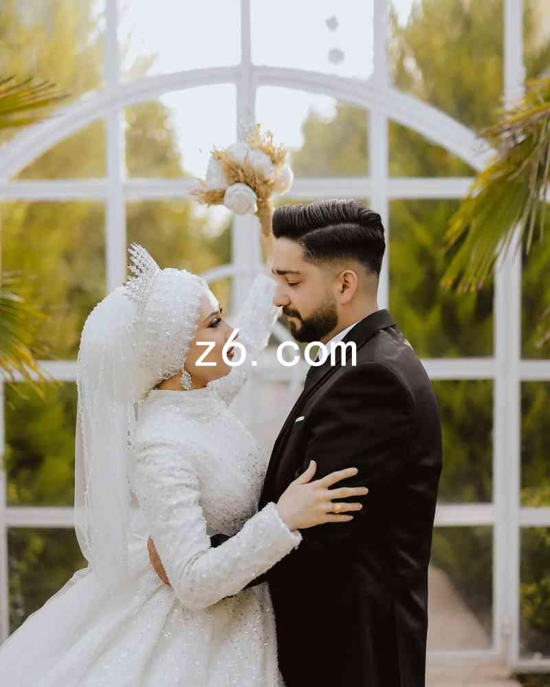 z6.com