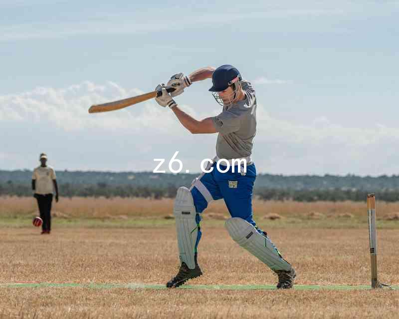 z6.com